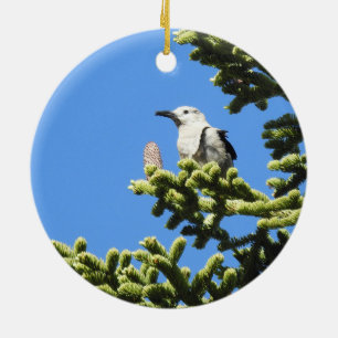 Birds, Clark's Nutcracker, wildlife, ornament
