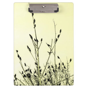 Birds Clipboard