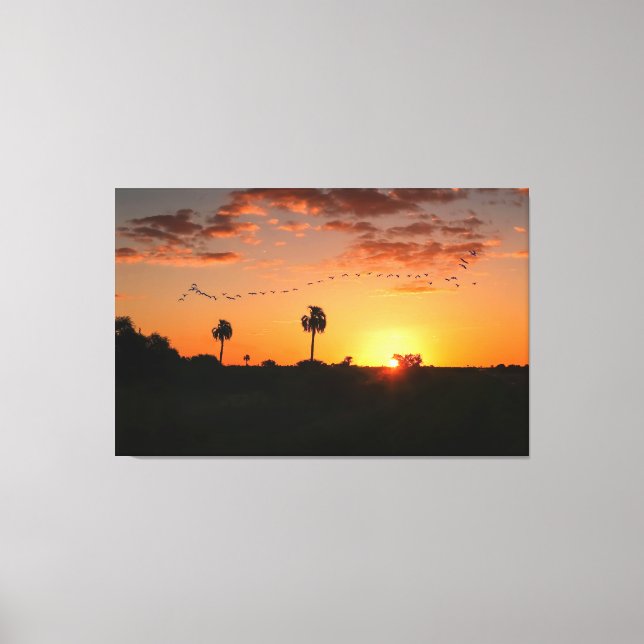 Birds crossing at sunset canvas print (Front)