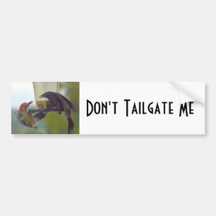 Birds Dont Tailgate Me Bumper Sticker