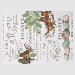 Birds Eggs Vintage French City Name Leaf Decoupage Tissue Paper