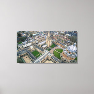 bird's eye photography of grey gothic building canvas print