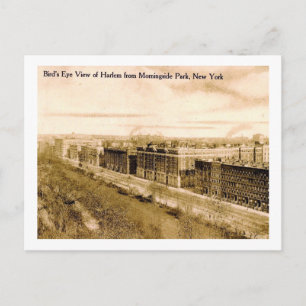Bird's Eye View Harlem, New York City Vintage Postcard
