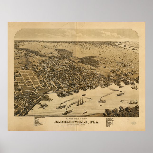 Birds eye view of Jacksonville Florida (1876) Poster (Front)