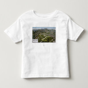 Bird's Eye View of Mountain Toddler T-Shirt