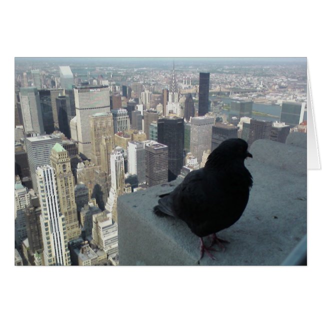 Bird's Eye View of New York Card (Front Horizontal)