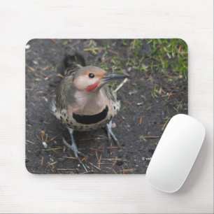 Bird's Eye View of Northern Flicker Woodpecker Mouse Mat