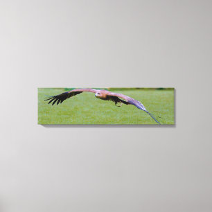 Bird's Eye View Over Panoramic Canvas Print