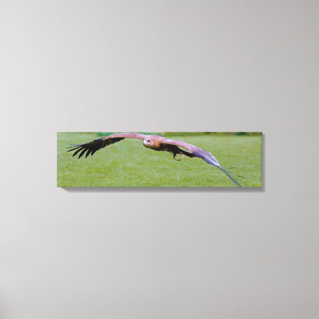 Bird's Eye View Over Panoramic Canvas Print (Front)