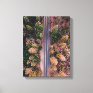 bird's eye view photo of road in the middle canvas print