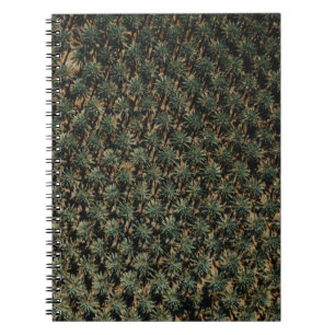 Bird's eye view photography of palm trees notebook