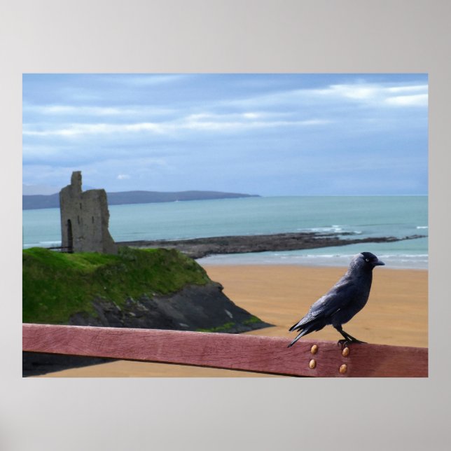 birds eye view poster (Front)