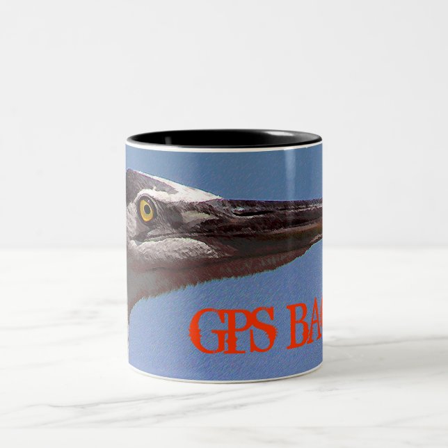 Bird's Eye View Two-Tone Coffee Mug (Center)