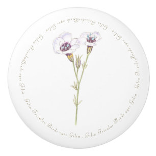 Bird's Eyes Gilia watercolor Ceramic Knob