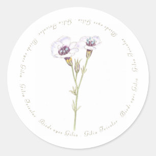 Bird's Eyes Gilia watercolor  Classic Round Sticker