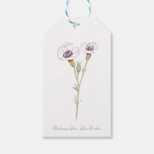 Bird's Eyes Gilia watercolor Wooden Box Sign Gift Tags
