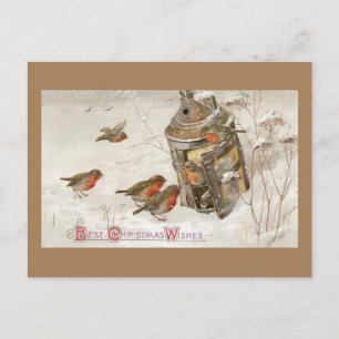 Birds Find Shelter in Lantern Vintage Christmas Holiday Postcard