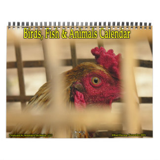 Birds, Fish & Other Exotic Animals Calendar