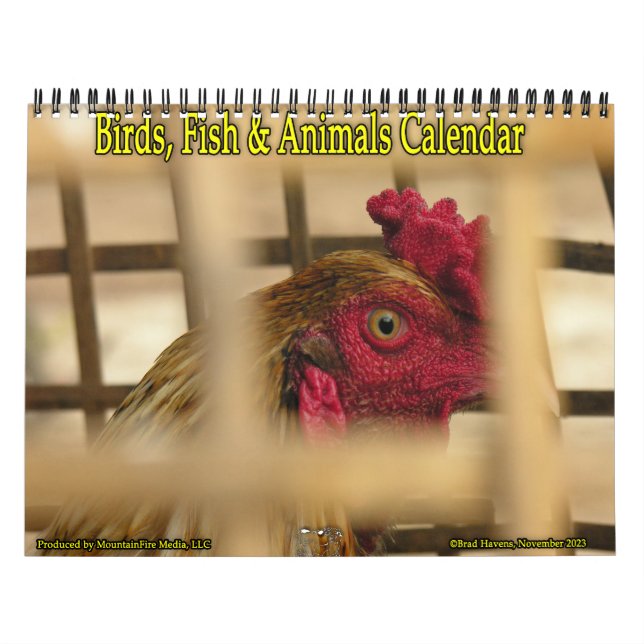 Birds, Fish & Other Exotic Animals Calendar (Cover)