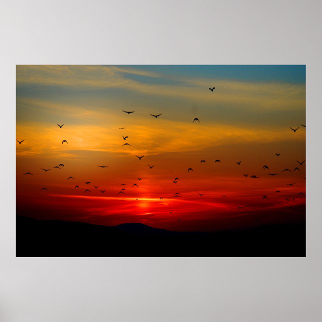 Birds Fly Into Sunset Extra Large Poster (Front)