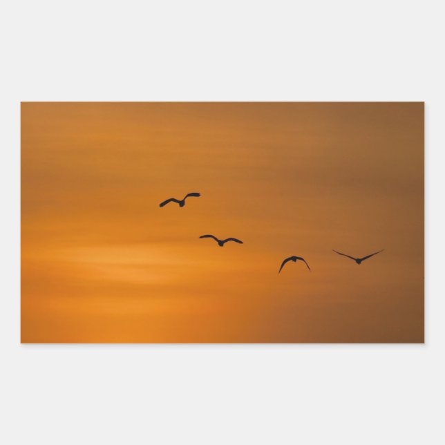 Birds flying in sunset rectangular sticker (Front)