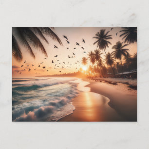 Birds Flying over a Beach at Sunset Postcard