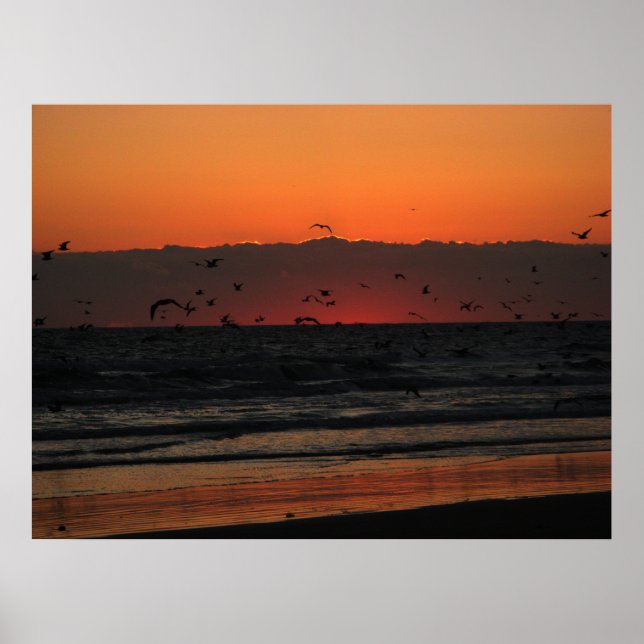 Birds Flying Over Ocean Sunrise Poster (Front)