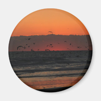Birds Flying Over Ocean Sunset Magnet