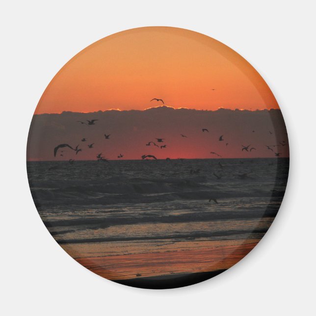 Birds Flying Over Ocean Sunset Magnet (Front)