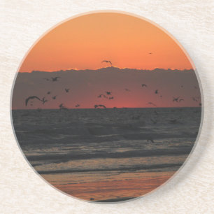 Birds Flying Over the Beach Photograph Coaster