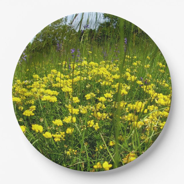 Birds-foot Trefoil Paper Plates (Front)