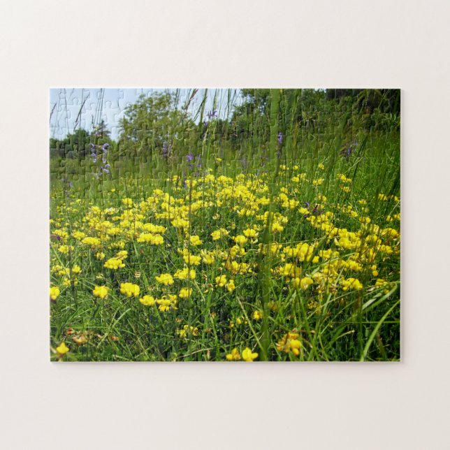 Birds-foot Trefoil Photo Puzzle (Horizontal)