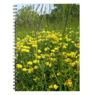 Birds-foot Trefoil Spiral Photo Notebook