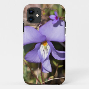 Birds-Foot Violet w/ Bluets iPhone 11 Case