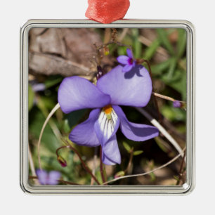 Birds-Foot Violet w/ Bluets Metal Tree Decoration