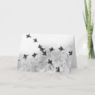Bird's Footprints In The Christmas Snow Holiday Card