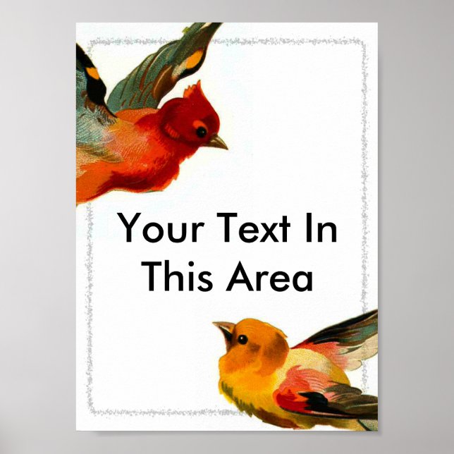 Birds Frame 2, Your Text In This Area Poster (Front)