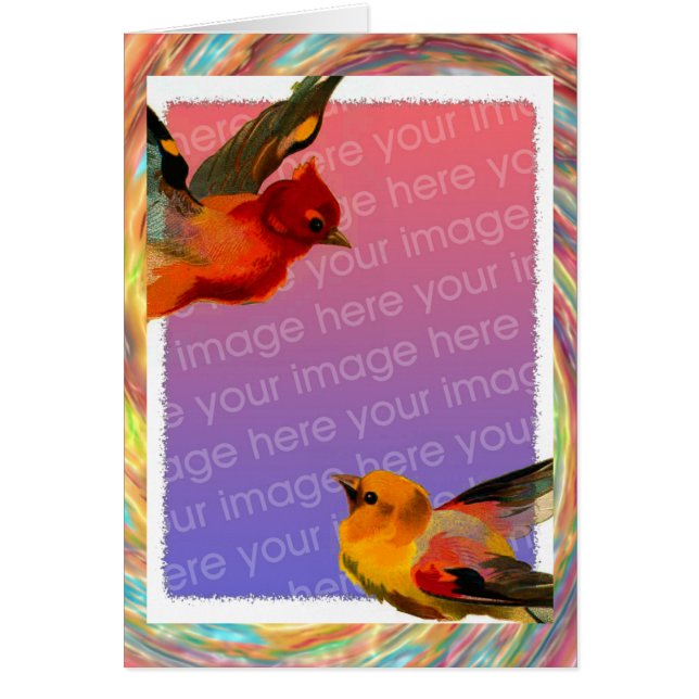 Birds Frame Your Photo Birthday (Front)