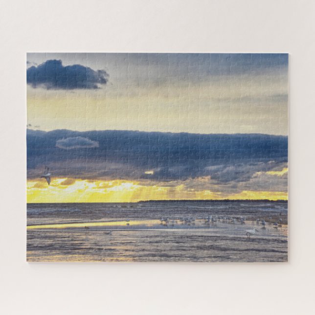 Birds Gather on a Florida Beach at Sunrise Jigsaw Puzzle (Horizontal)