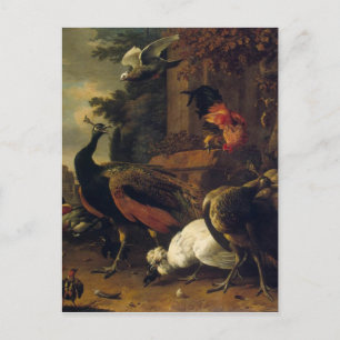 Birds in a Park by Melchior d'Hondecoeter Postcard