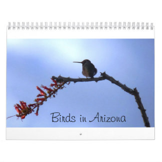 Birds in Arizona Calendar