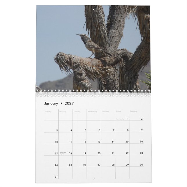 Birds in Arizona Calendar (Jan 2027)