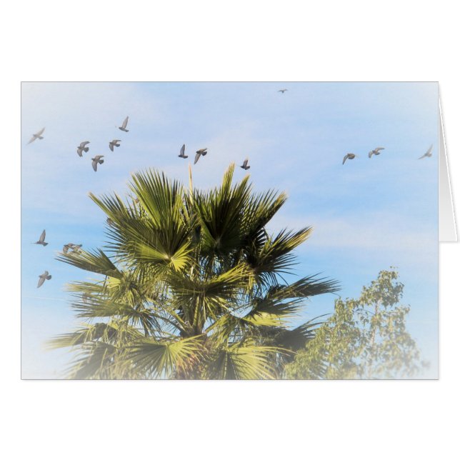 Birds In Flight (Front Horizontal)