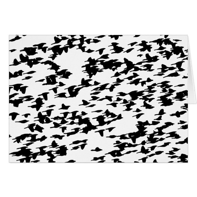 Birds in Flight (Front Horizontal)