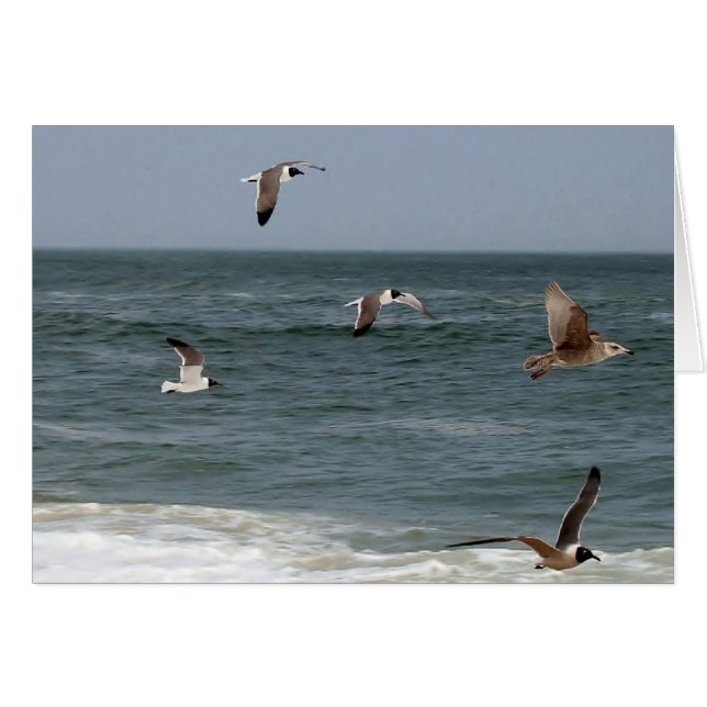 Birds In Flight by Shirley Taylor (Front Horizontal)
