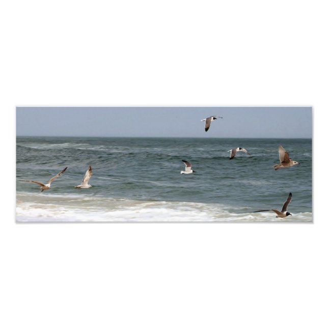 Birds In Flight by Shirley Taylor Photo Print (Front)
