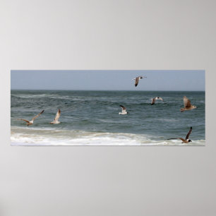 Birds In Flight by Shirley Taylor Poster