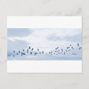 Birds in Flight Postcard