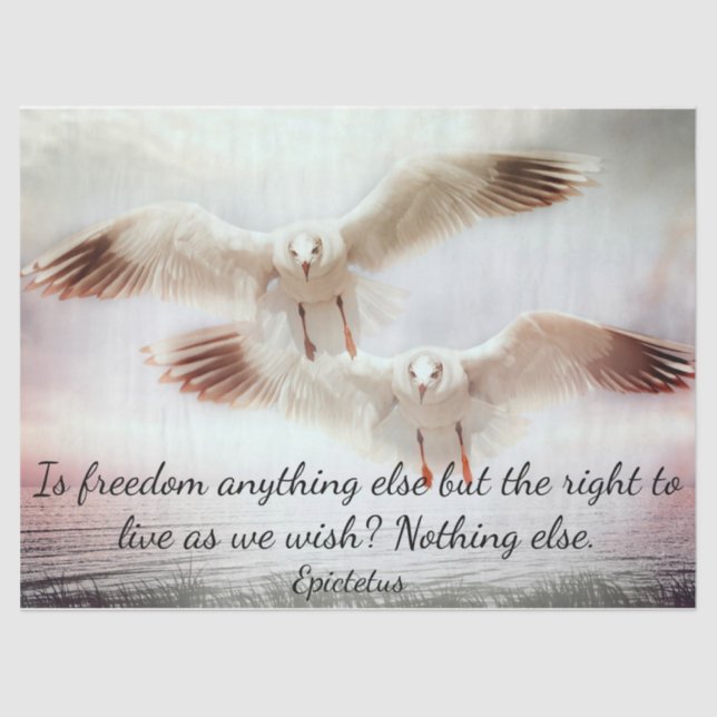 Birds in Flight Tissue Paper (Front)