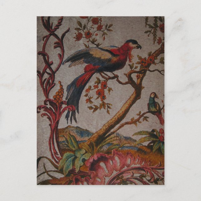 Birds in Paradise ~ Postcard (Front)